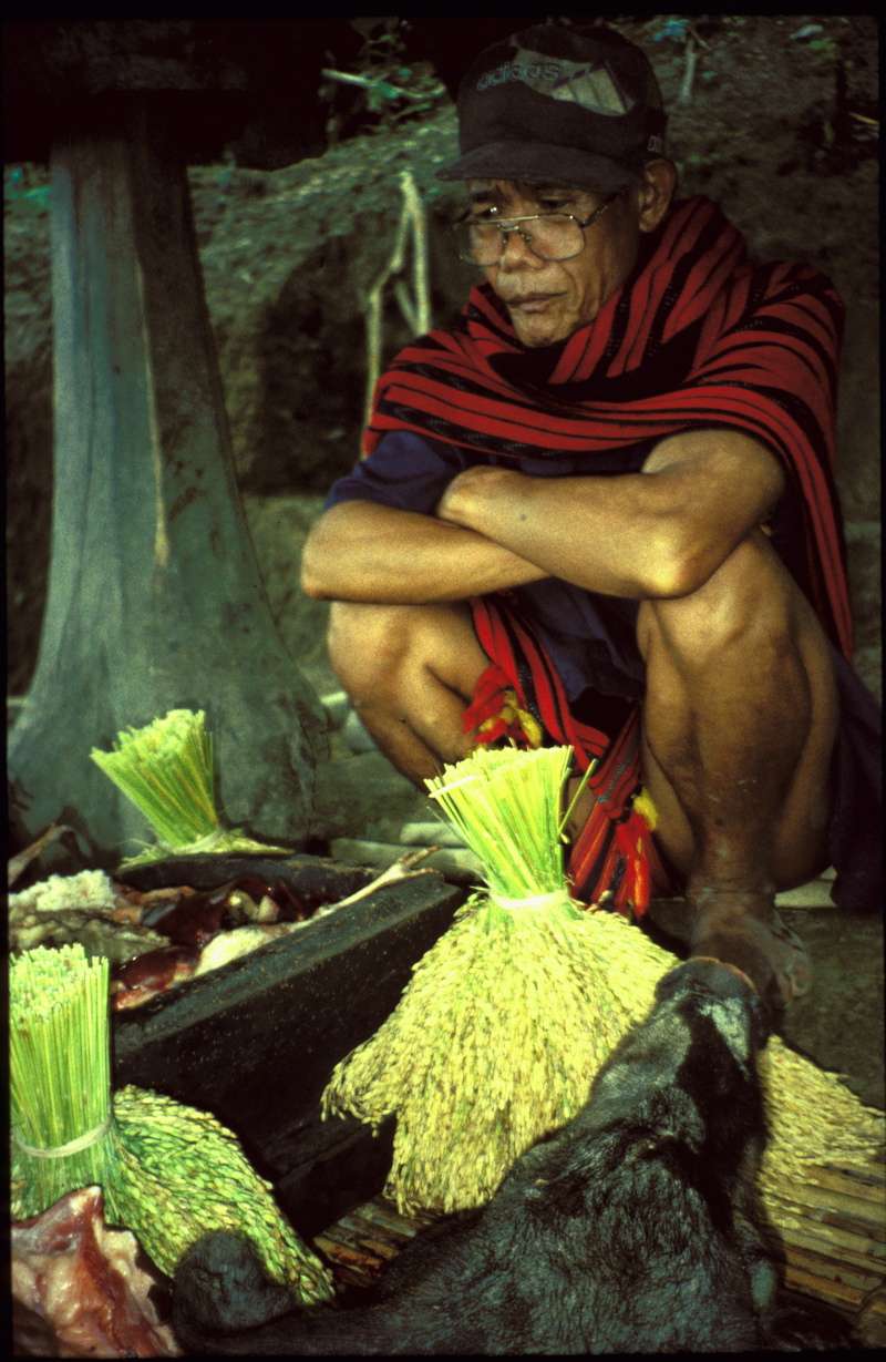 Ifugao speaker