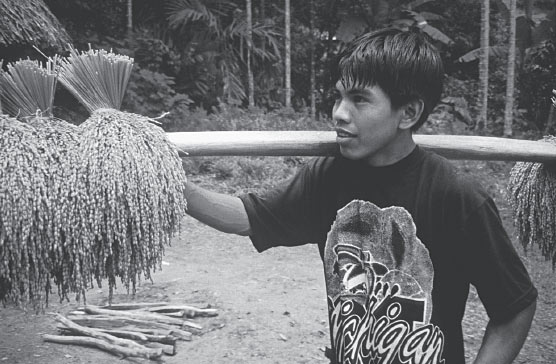 Ifugao youth