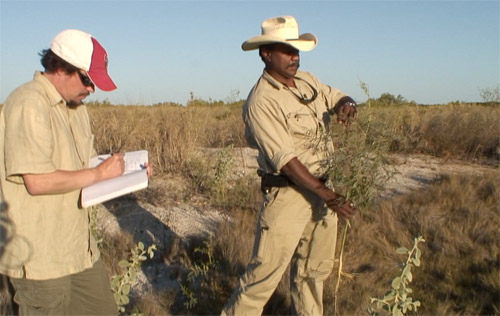 traditonal Yawuru medicinal plants